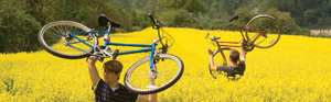 2 men in a yellow field holding bikes in the air as they walk through the chest height flowers